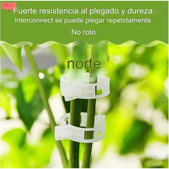 🍅🌺【200 τεμάχια】Πλαστικά στηρίγματα για φυτά, για διακόσμηση λαχανόκηπου σε θερμοκήπιο