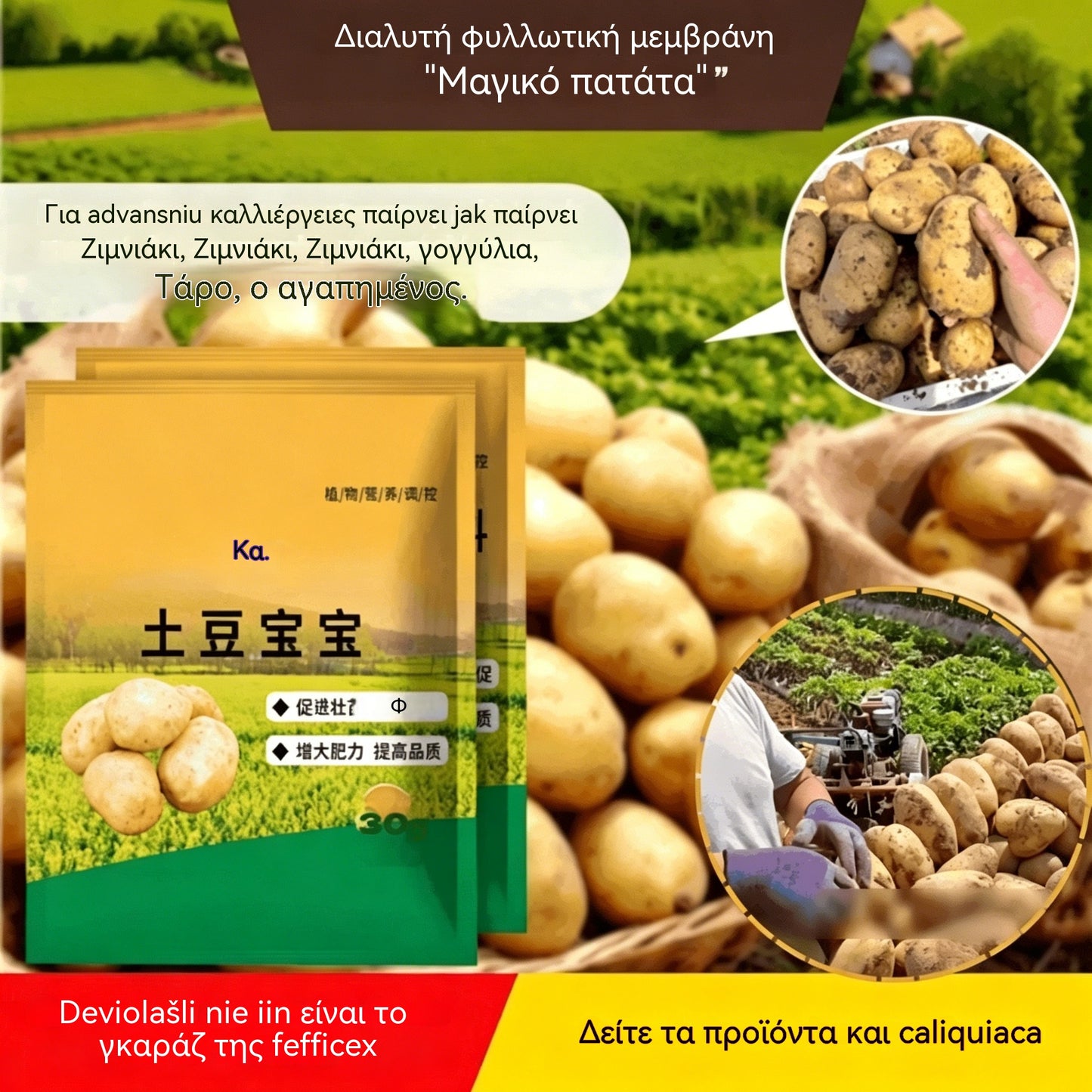 [10 σακούλες] Άμεσης Διάλυσης Διαφυλλικό Λίπασμα "Θαυματουργή Πατάτα" | Κατάλληλο για πατάτες, φιστίκια, γλυκοπατάτες, ραπανάκια, τάρο και κρεμμύδια - Προωθεί την ανάπτυξη των ριζών και αυξάνει την απόδοση.