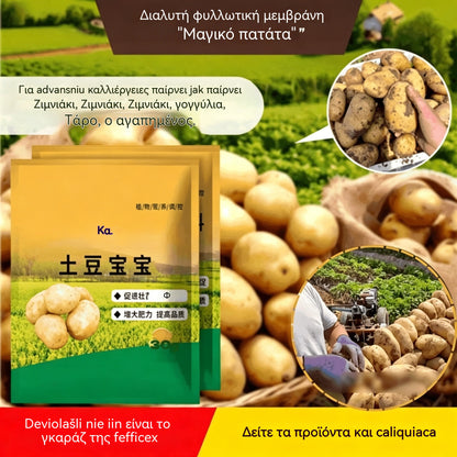 [10 σακούλες] Άμεσης Διάλυσης Διαφυλλικό Λίπασμα "Θαυματουργή Πατάτα" | Κατάλληλο για πατάτες, φιστίκια, γλυκοπατάτες, ραπανάκια, τάρο και κρεμμύδια - Προωθεί την ανάπτυξη των ριζών και αυξάνει την απόδοση.