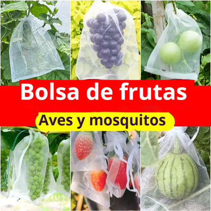 【50 piezas】Red de insectos para moscas de frutas, red de protección de árboles de paisaje para pájaros, bolsas de red de jardín para proteger flores, plantas, frutas, verduras