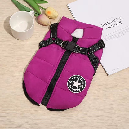 🐕‍🦺【50% έκπτωση】Φθινοπωρινή/χειμερινή στολή σκι για κατοικίδια, αδιάβροχο και ζεστό βαμβακερό μπουφάν για σκύλους