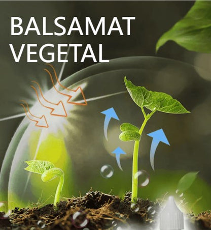 💥【3 μπουκάλια】🌱🌱 Θρεπτικό διάλυμα που προάγει την ανάπτυξη των φυτών