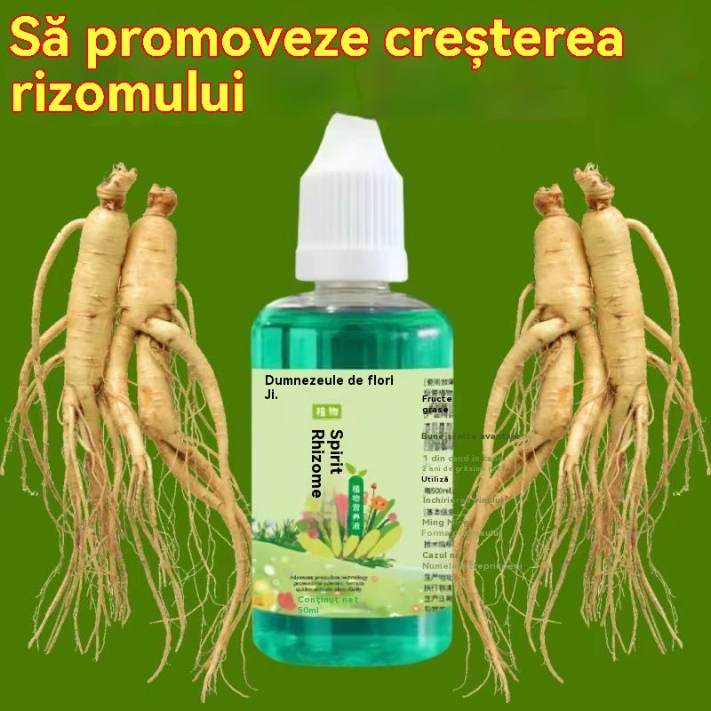 🌱🌱【3 μπουκάλια】🔥Γενικό διάλυμα θρεπτικών συστατικών φυτών