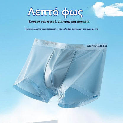 🧊【Αγοράστε 3 και πάρτε 3 δωρεάν】Ανδρικά λεπτά, αναπνεύσιμα, μεταξωτά μποξεράκια από πάγο, καλοκαιρινά bestseller