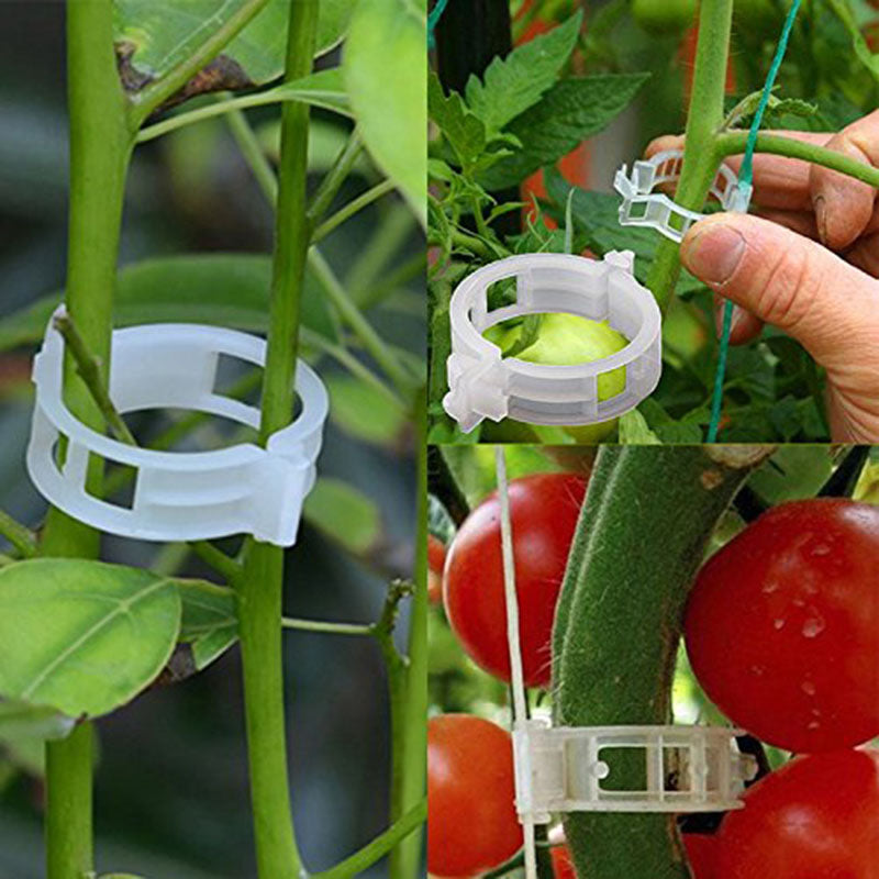 🍅🌺【200 τεμάχια】Πλαστικά στηρίγματα για φυτά, για διακόσμηση λαχανόκηπου σε θερμοκήπιο
