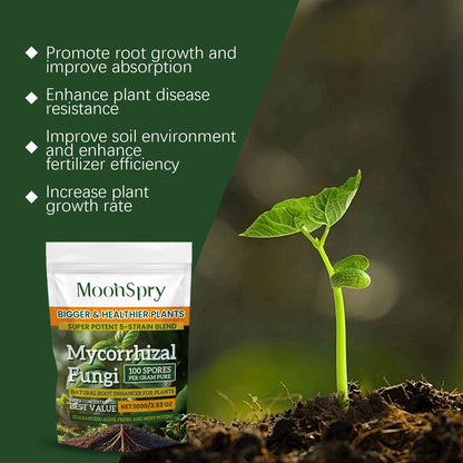 🌱🌳[50% OFF] Ενεργοποιητής θρεπτικών συστατικών εδάφους για φυτά, προάγει την ανάπτυξη των ριζών και την ανάπτυξη φυτών και ανθοφόρων φυτών