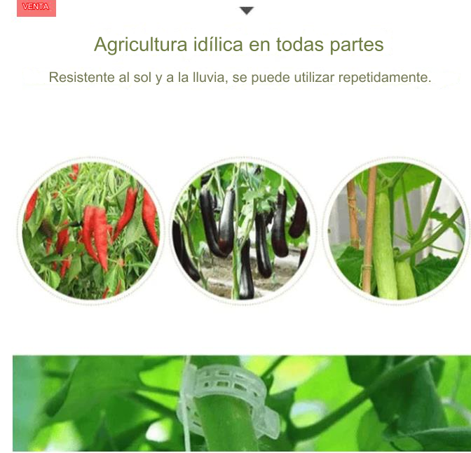 🍅🌺【200 τεμάχια】Πλαστικά στηρίγματα για φυτά, για διακόσμηση λαχανόκηπου σε θερμοκήπιο