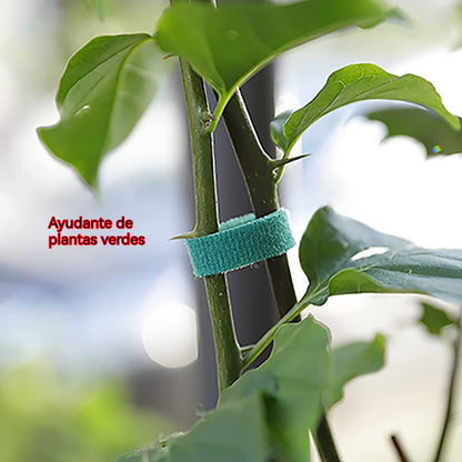 【5/10/20 m】🌱Ιμάντες Velcro για πράσινα φυτά - Επαναχρησιμοποιήσιμοι για τη στερέωση και τη διαμόρφωση των φυτών.