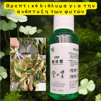 💥【🌱10 φιαλίδια 26 ευρώ】【Αγοράστε 5, πάρτε άλλα 5 δωρεάν】🌱🌱 Θρεπτικό διάλυμα για την ανάπτυξη των φυτών
