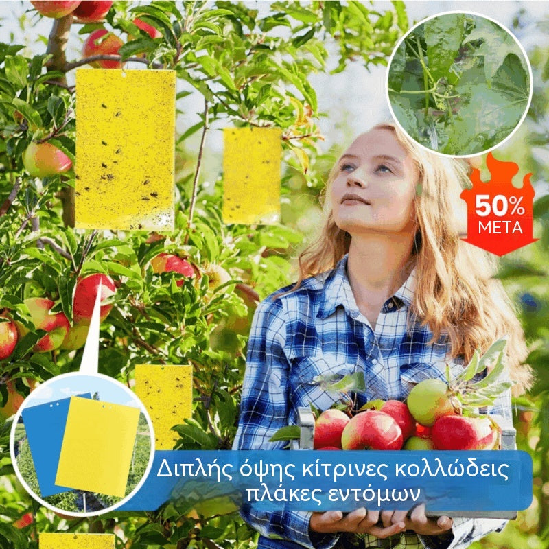 📢💥【20 τεμάχια】Κίτρινο αυτοκόλλητο χαρτί διπλής όψης για έντομα, αυτοκόλλητα για την παγίδευση εντόμων στον αγροτικό κήπο λαχανικών