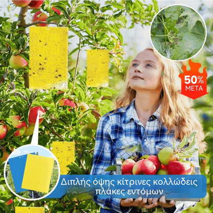 📢💥【20 τεμάχια】Κίτρινο αυτοκόλλητο χαρτί διπλής όψης για έντομα, αυτοκόλλητα για την παγίδευση εντόμων στον αγροτικό κήπο λαχανικών