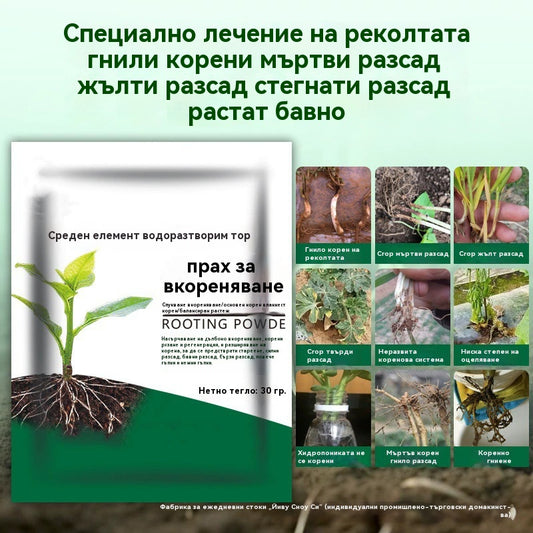 🌱🌷【Αγοράστε 5, λάβετε 5 δωρεάν】Σκόνη ταχείας ριζοβολίας, παράγοντας ριζοβολίας φυτών, σύνθετο λίπασμα ταχείας δράσης