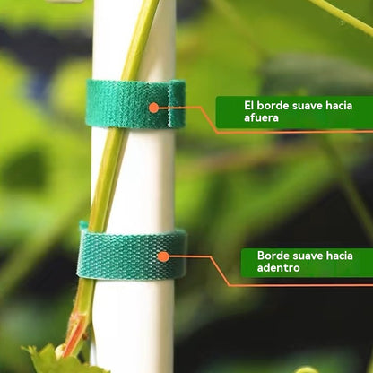 【5/10/20 m】🌱Ιμάντες Velcro για πράσινα φυτά - Επαναχρησιμοποιήσιμοι για τη στερέωση και τη διαμόρφωση των φυτών.