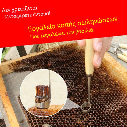 【Αγοράστε 1, πάρτε 1 δωρεάν】🔥Νέο εργαλείο για την εκτροφή βασιλισσών: Πλήρης κοπή χωρίς να καταστρέψετε τις προνύμφες.