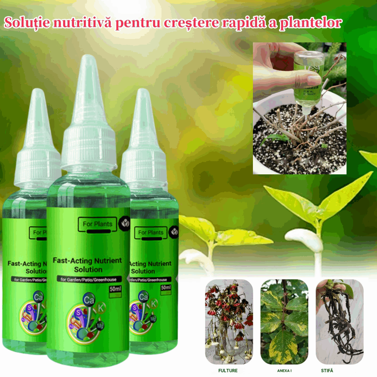 🌿3 είδη για 23 ευρώ --Θρεπτικό διάλυμα φυτών ταχείας δράσης - καθολική λύση ριζοβολίας για όλα τα φυτά (50% έκπτωση)