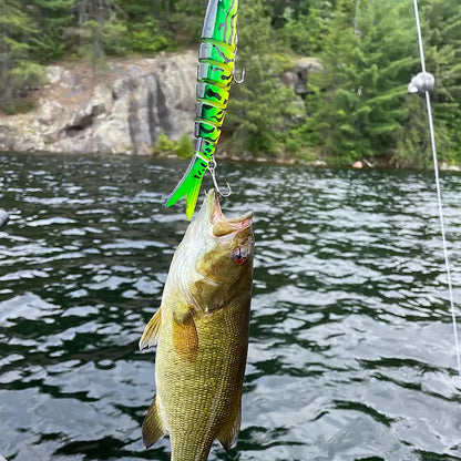 🔥3 είδη για 24 ευρώ🎣Νέο βιονικό δόλωμα ψαριών πολλαπλών τμημάτων