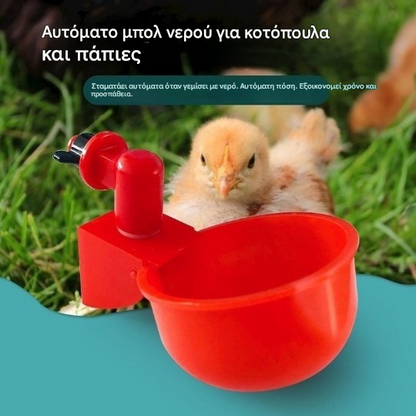 【30%OFF】🐔🔥【Αγοράστε 5 και πάρτε 5 δωρεάν】10 είδη👍Αυτόματο μπολ νερού για πουλερικά, δεν απαιτείται χειροκίνητη τροφοδοσία