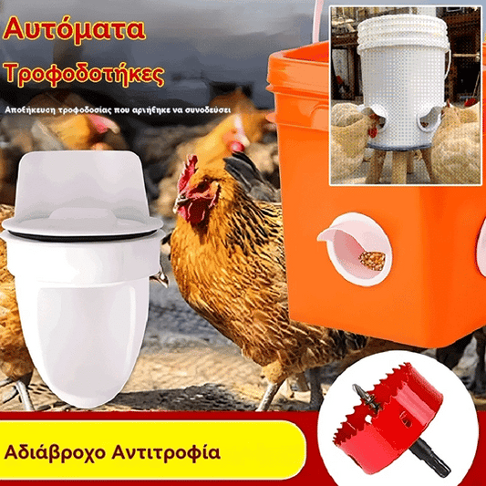 🔥🐓👍🐓【5 τροφοδότες + ανοιχτήρι τρύπας】Αυτόματος τροφοδότης κοτόπουλου, πάπιας και χήνας