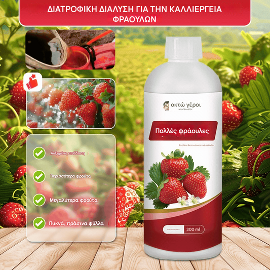 🍅🍎🍓🍓 Το διάλυμα θρεπτικών συστατικών για τα φυτά προάγει την αύξηση των καρπών, αυξάνει τη γλυκύτητα και βελτιώνει την απόδοση.