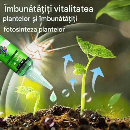 🌿3 είδη για 21 ευρώ --Θρεπτικό διάλυμα φυτών ταχείας δράσης - καθολική λύση ριζοβολίας για όλα τα φυτά (50% έκπτωση)