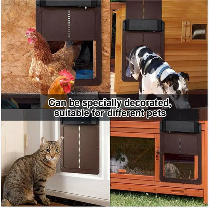 Προσφορά για περιορισμένο χρονικό διάστημα!🔥Αυτόματη πόρτα για κοτέτσι με αισθητήρα φωτός.