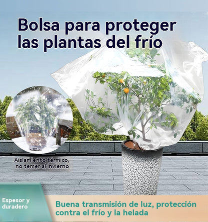 🌲【40cm*60cm】 10 είδη για 25 ευρώ❄️Διαφανείς σακούλες για την προστασία των οπωροφόρων δέντρων/φυτών από το κρύο, παρέχοντας χειμερινή προστασία από τον παγετό, τη βροχή και τις βροχοπτώσεις· προστατευτικά καλύμματα για μπονσάι/λουλούδια/δέντρα.