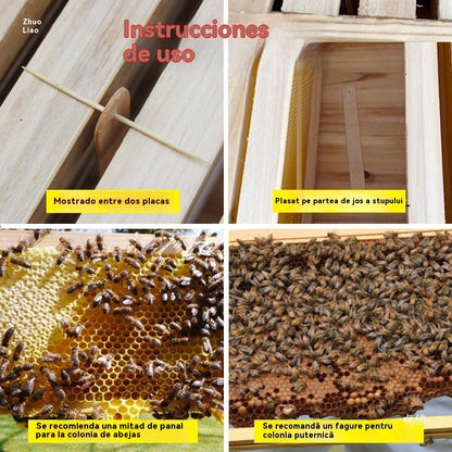 🐝【50 τεμάχια】Καθαρισμός πιάτων για κυψέλες | Ειδικό για μέλισσες | Εξαλείφει τους σκώρους, τις προνύμφες και τα παράσιτα χωρίς να αφήνει ίχνη