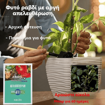 【📢【3 κουτιά με 54 δισκία】-- 24 ευρώ📢Η χαμηλότερη τιμή για περιορισμένο χρονικό διάστημα!!!💥】【3 κουτιά】Γενικές ταμπλέτες θρέψης φυτών --- λίπασμα φυτών