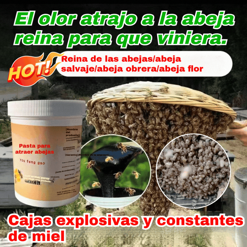 【Αγοράστε 1, πάρτε 1 δωρεάν】2 τεμάχια για 24 ευρώ🐝 Αλοιφή προσέλκυσης μελισσών: φυσική σύνθεση, ταχείας δράσης! Η γρήγορη λύση για την προσέλκυση σμηνών στην κυψέλη!