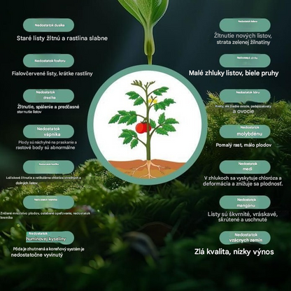 🥔🌱 【🔹 10 συσκευασίες για 21€】Διαλυτό φυλλώδες λίπασμα "Miracle Potato" | Κατάλληλο για πατάτες, φιστίκια, γλυκοπατάτες, ραπανάκια, taro και κρεμμύδια - προάγει την ανάπτυξη των ριζών και αυξάνει την απόδοση