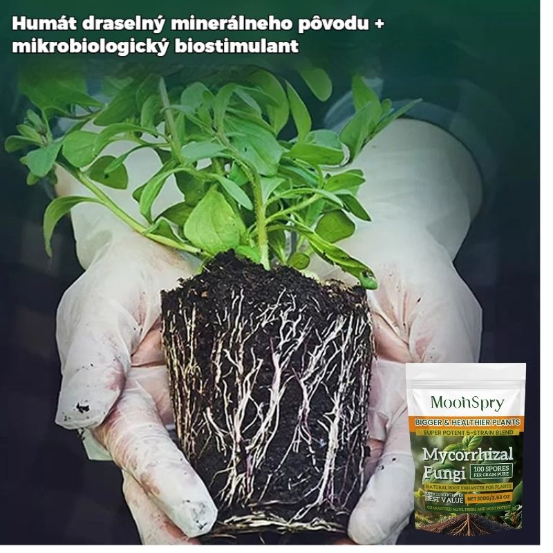 🌱🌳[50% OFF] Ενεργοποιητής θρεπτικών συστατικών εδάφους για φυτά, προάγει την ανάπτυξη των ριζών και την ανάπτυξη φυτών και ανθοφόρων φυτών
