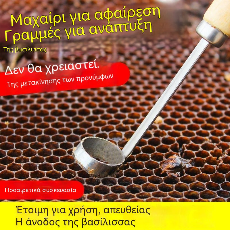 【Αγοράστε 1, πάρτε 1 δωρεάν】🔥Νέο εργαλείο για την εκτροφή βασιλισσών: Πλήρης κοπή χωρίς να καταστρέψετε τις προνύμφες.